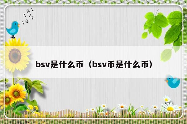 比特币SV（中本聪）是怎么样来的呢？